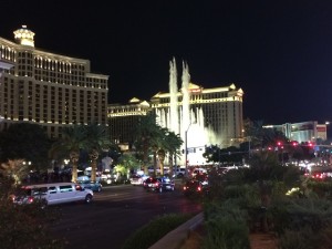 IMG_0798