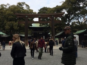 IMG_3232